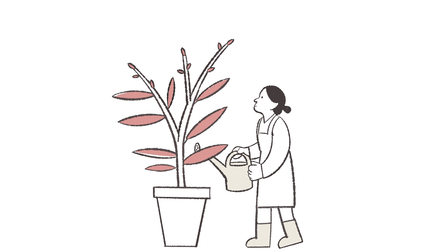 Lady watering plant