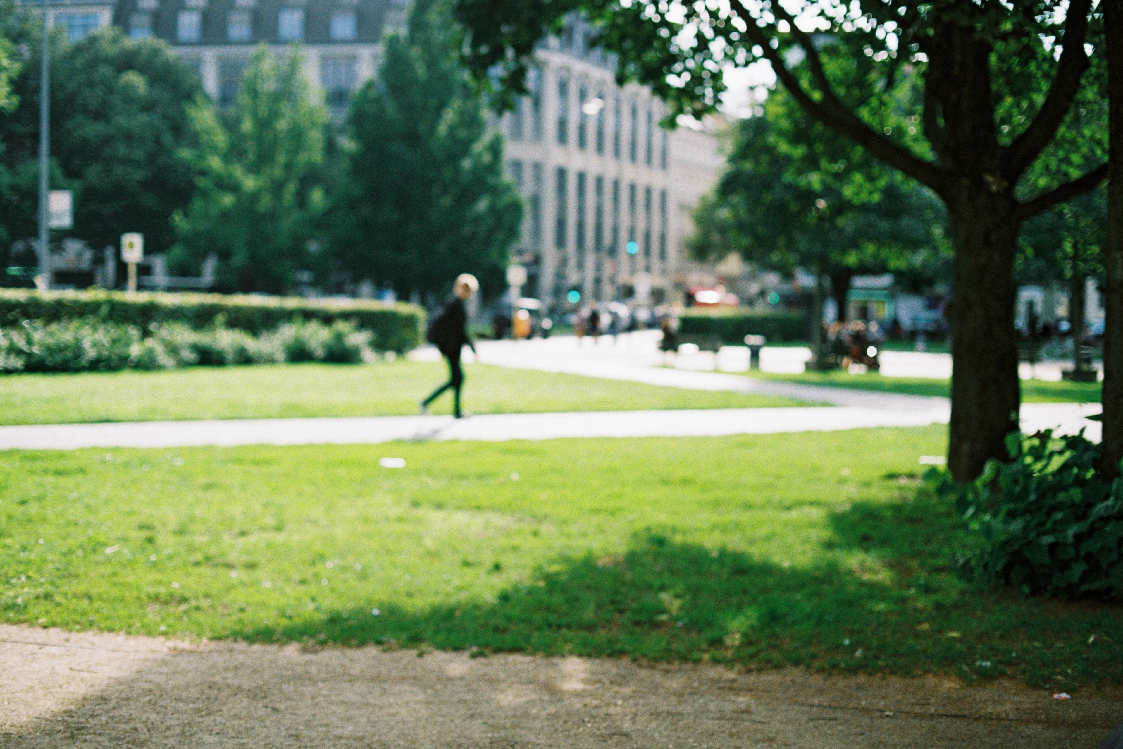 Blurred photo of a park with a person walking on a path trees and buildings in the background.