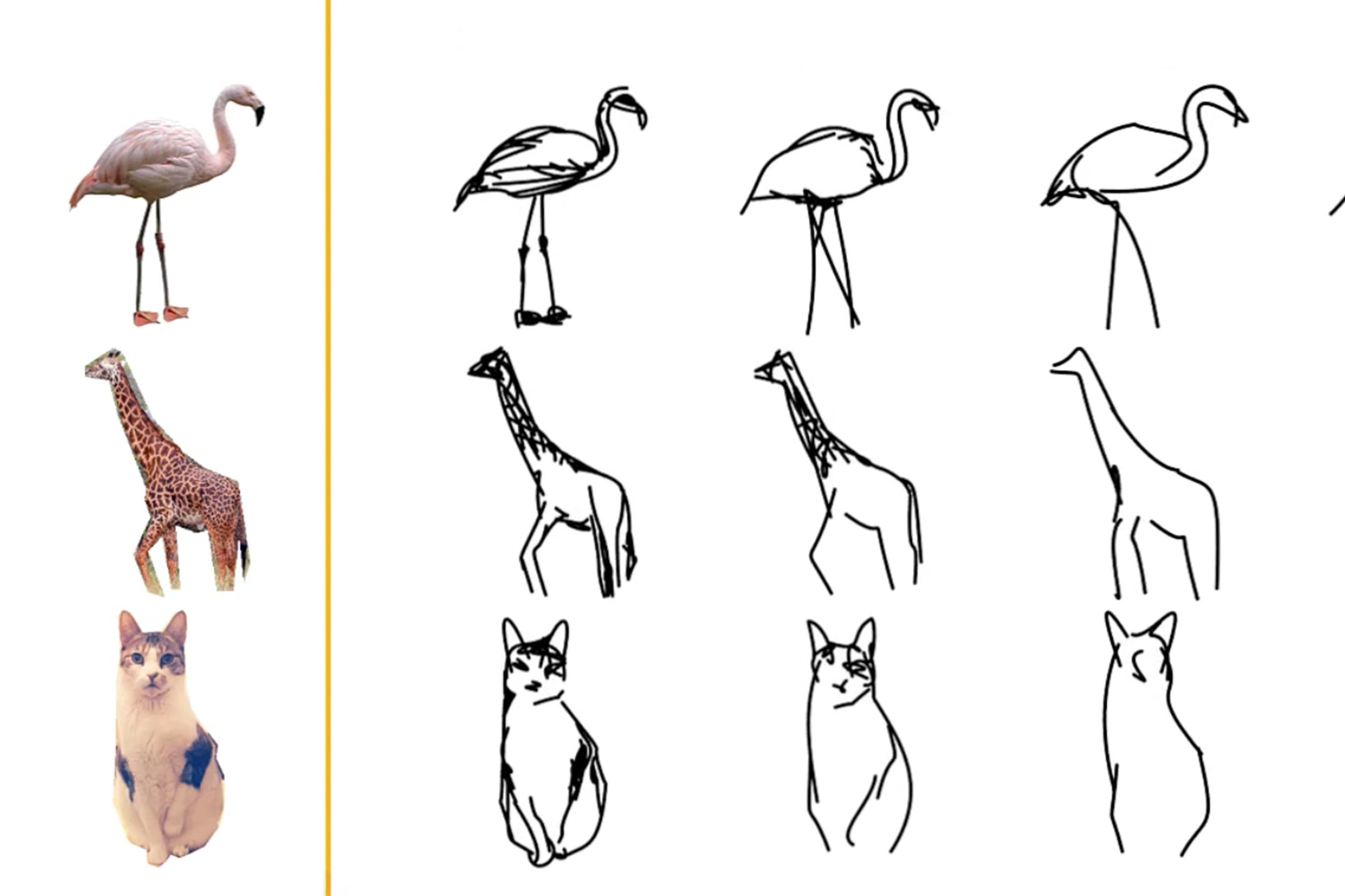 Collage of animal photos with progressively simplified line drawings of a flamingo, giraffe and cat.