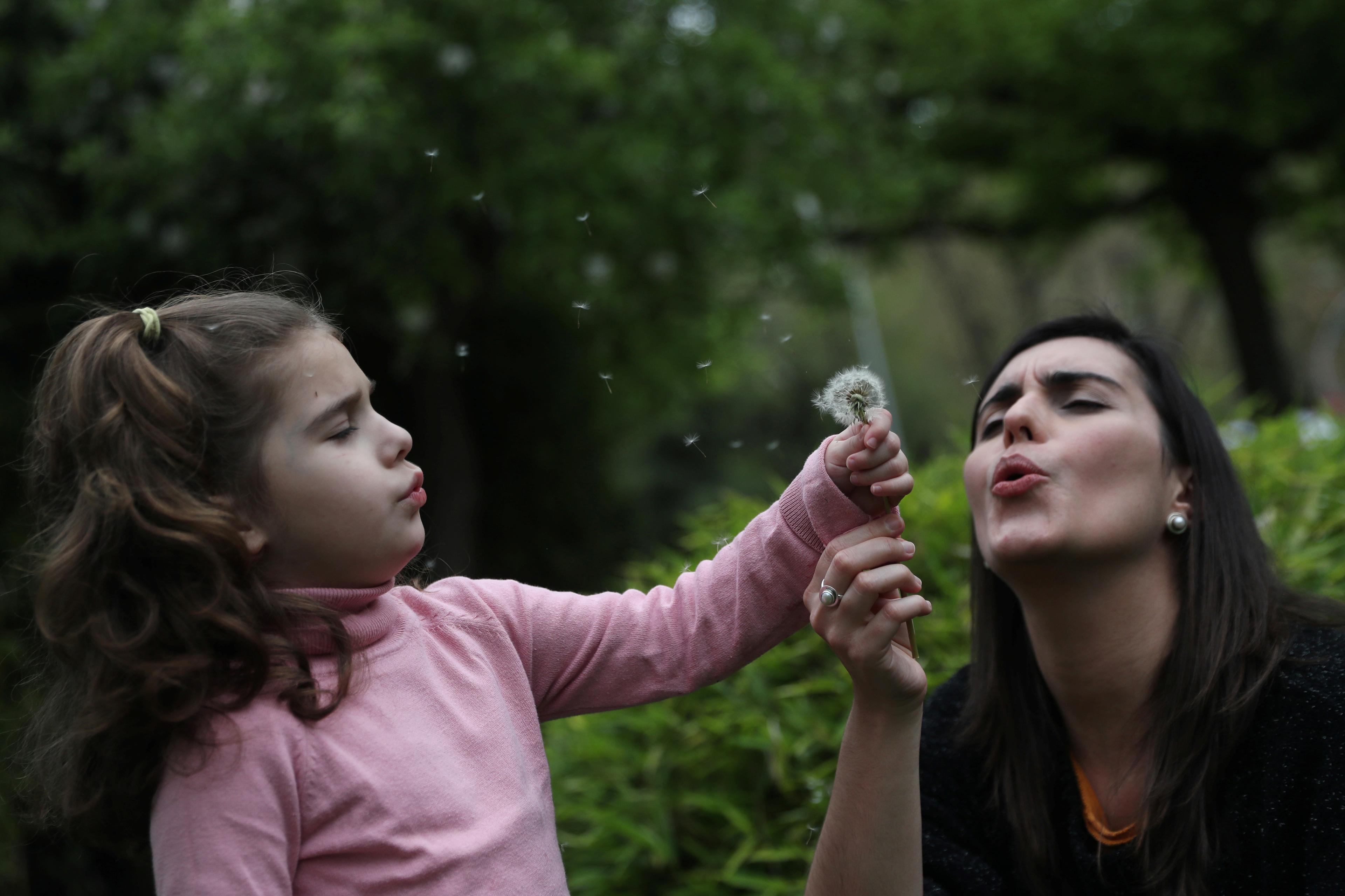 Photo of a child and adult blowing dandelion seeds in a green outdoor setting, both looking joyful and focused.