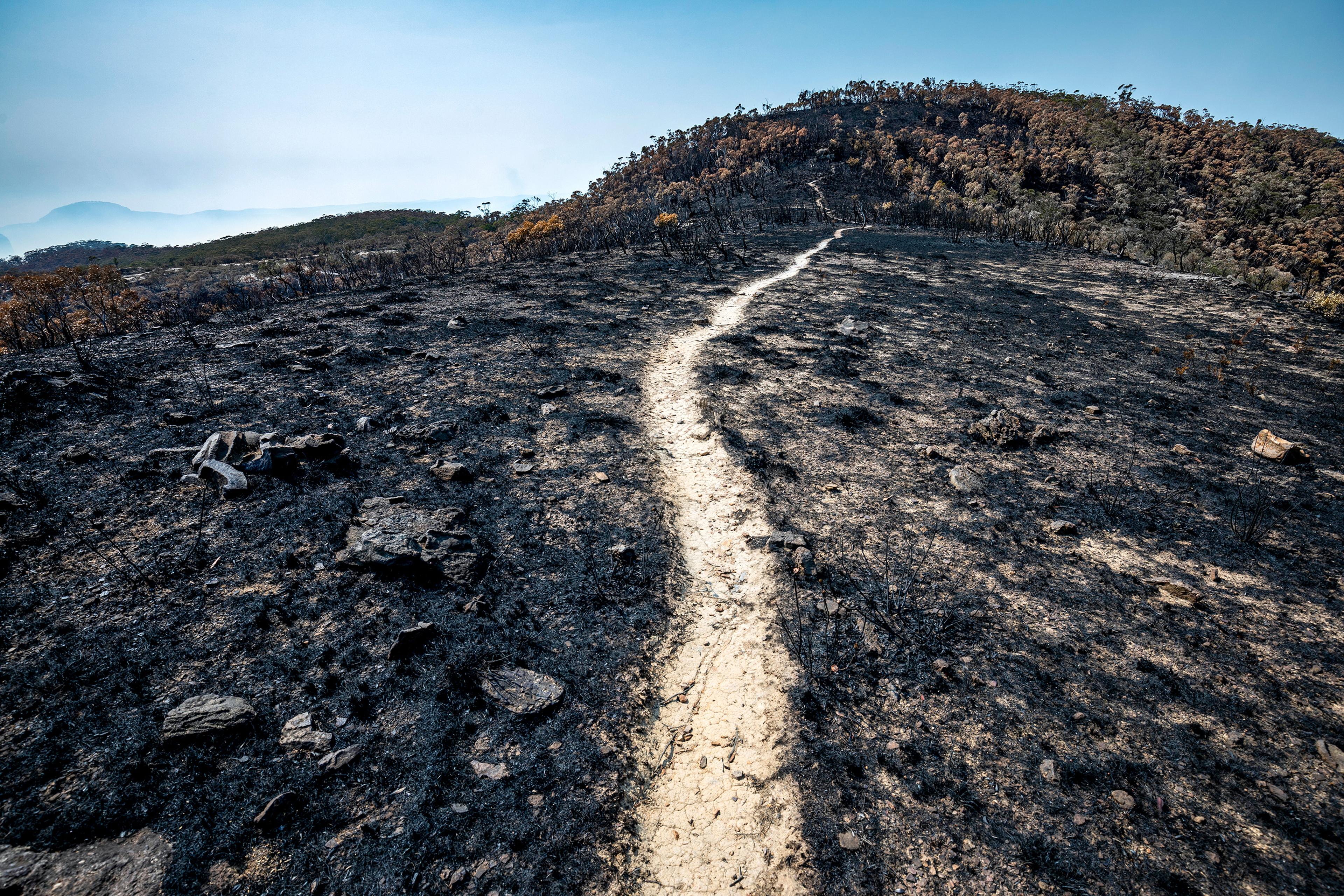 Photo of a charred landscape with a narrow path leading through burnt terrain towards a distant hill under a clear blue sky.