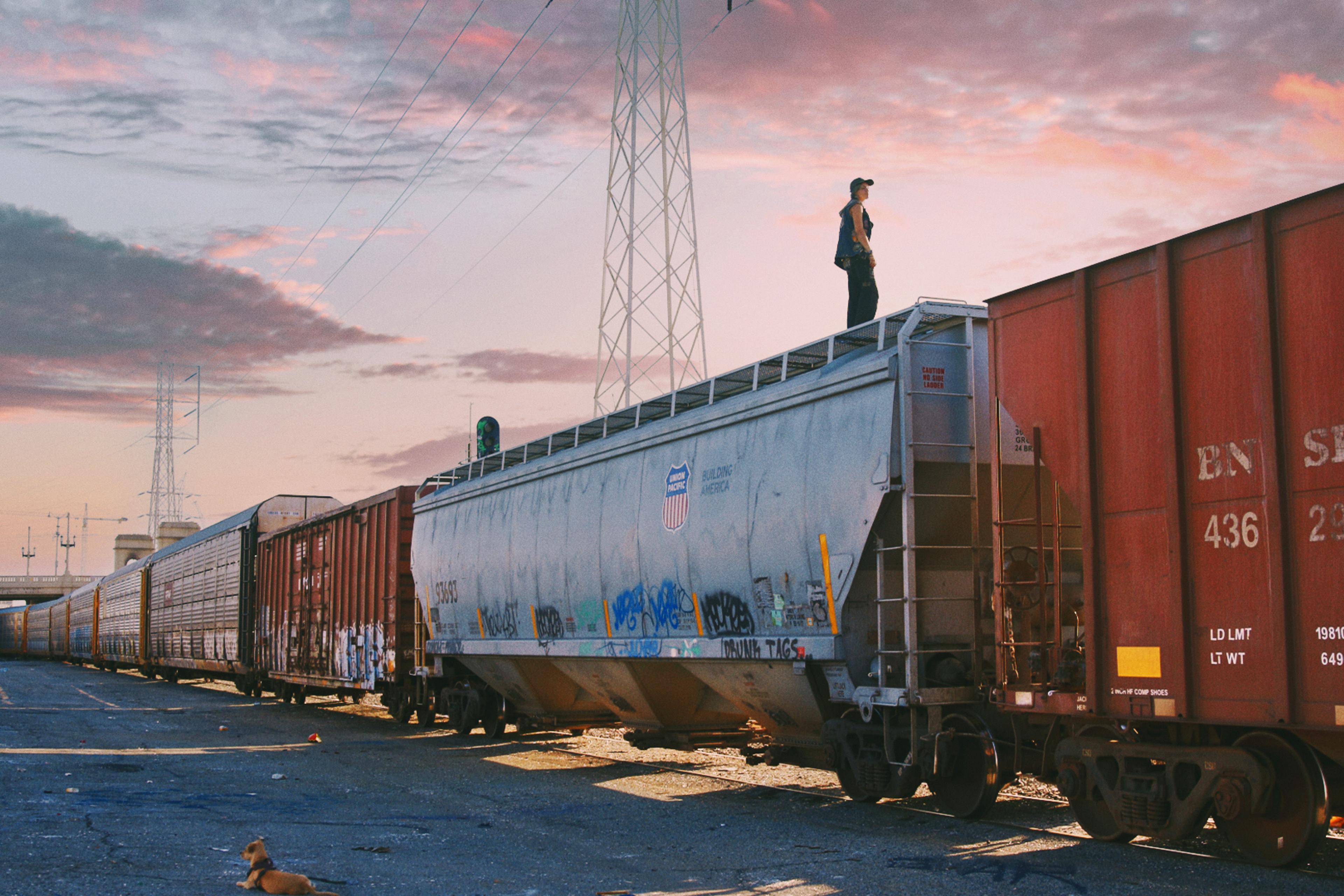 A person standing on a freight train car during sunset with a dog sitting nearby and graffiti on the train.